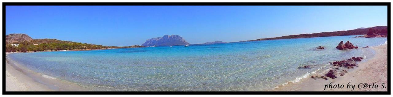 Appartamento #Garibaldi 05 - Old Town Olbia Esterno foto